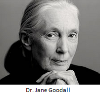 Dr.Jane Goodall
