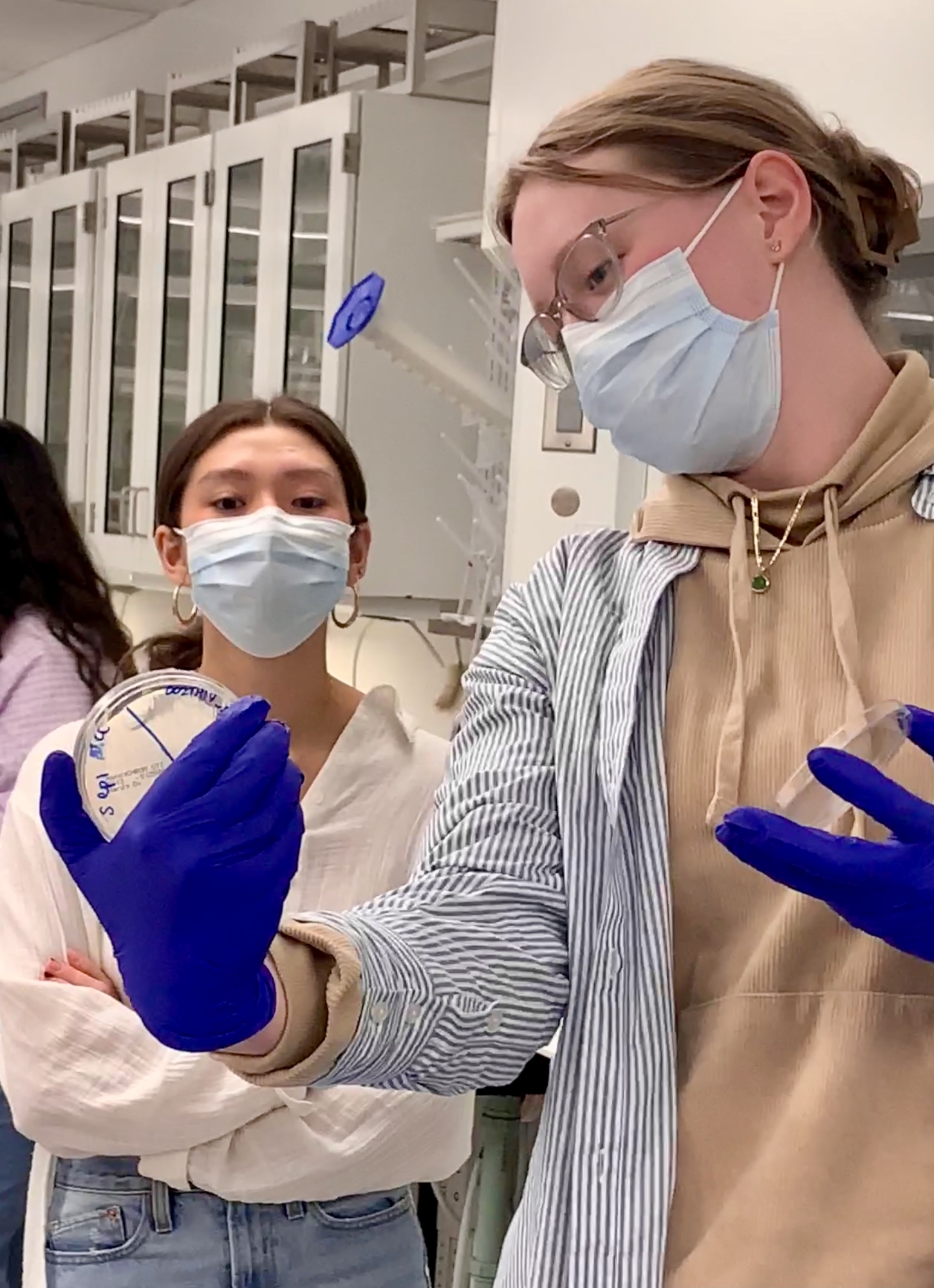 Two people look at an agar plate with microbial growth