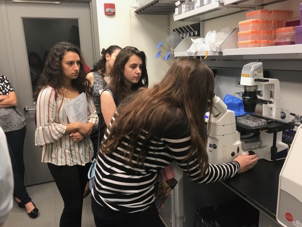 students looking through microscope
