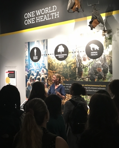Dr. Sabrina Sholts explains the concept of One Health- that human, animal, and environmental health are not separate ideas, but are intimately connected and constantly influences one another.