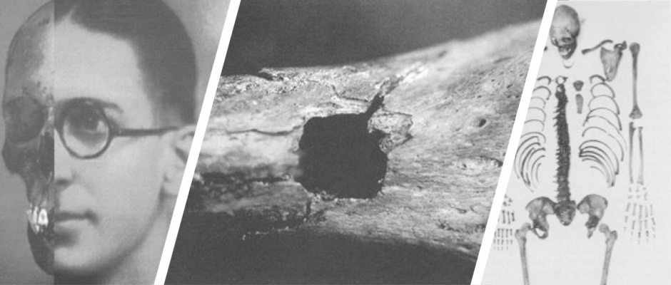 Smithsonian research photos